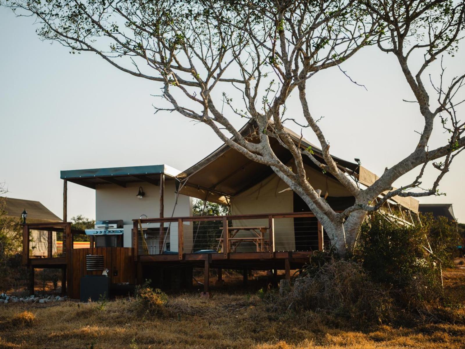 Longhill Reserve Addo Exteriör bild