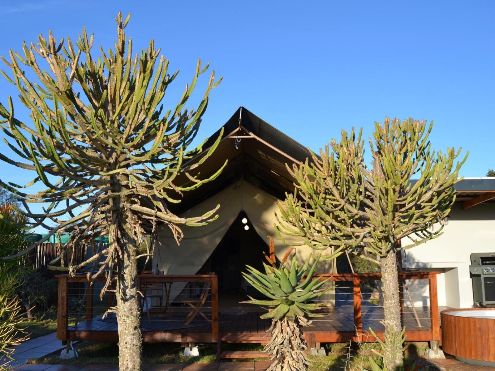 Longhill Reserve Addo Exteriör bild